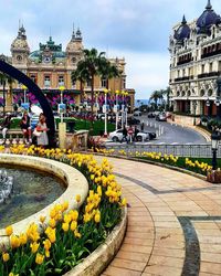 Tulips blooming by fountain against monte carlo casino