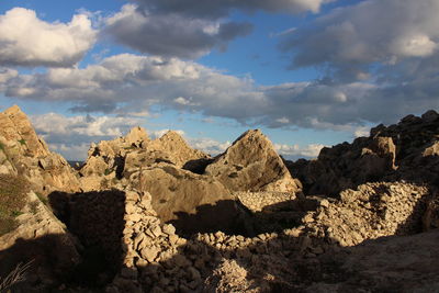 Panoramic view of cactus against sky