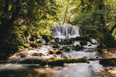 Waterfall in forest