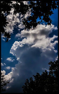 Low angle view of silhouette tree against sky