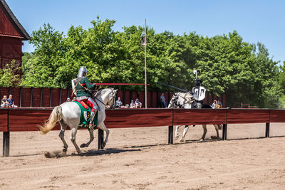 Horse cart