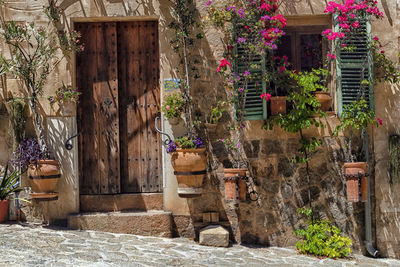 Flowers and plants in front of a historical house in the city of deia mallorca spain