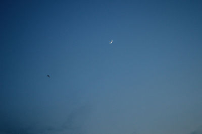 Low angle view of moon in sky