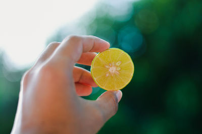 Midsection of person holding lemon 
