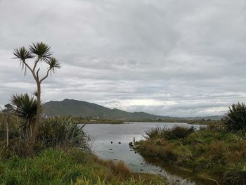 Scenic view of lake against sky