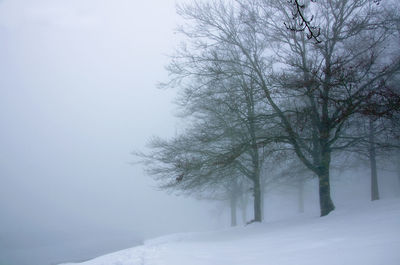 Scenic view of snow covered landscape