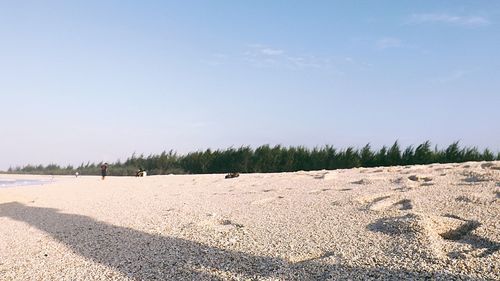 Scenic view of beach against clear sky