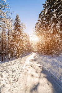 Road amidst trees against clear sky during winter