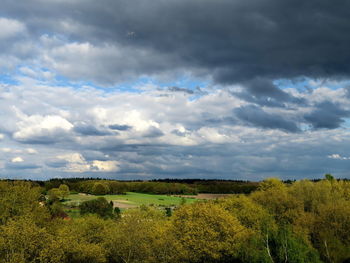 Scenic view of field against sky