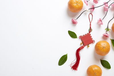 High angle view of orange fruit against white background