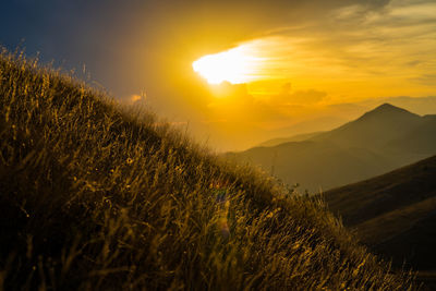 Scenic view of field against sky during sunset