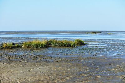 Scenic view of sea against clear sky