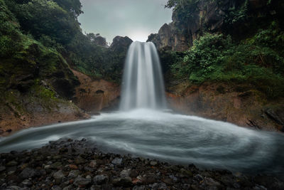 Scenic view of waterfall in forest