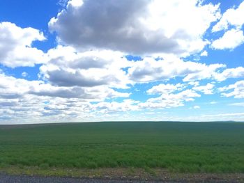 Scenic view of field against sky