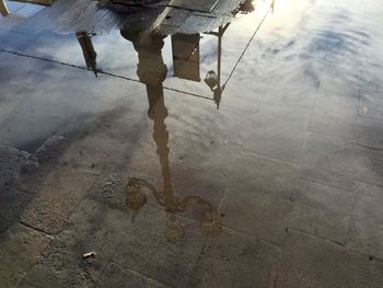 Reflection of trees in puddle