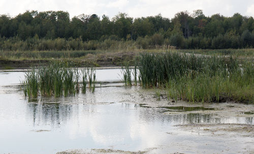 Scenic view of lake against sky