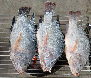 High angle view of fish on barbecue grill