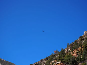 Low angle view of bird flying against clear blue sky
