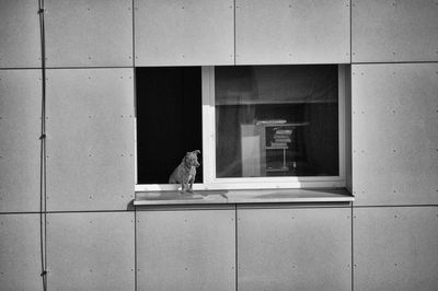 Reflection of building in glass window