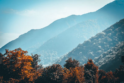 Scenic view of forest against sky during autumn