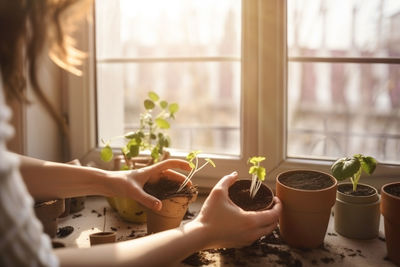 Midsection of woman holding potted plant