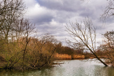 Bare trees by lake against sky