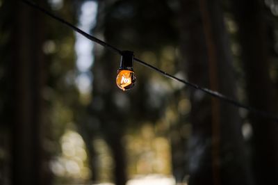 Low angle view of illuminated light bulb