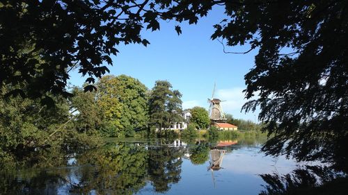 Reflection of trees in lake