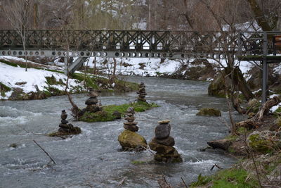 Bird on rock during winter