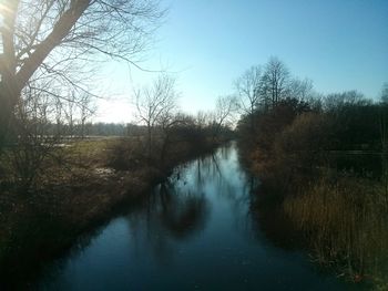 Reflection of trees in water