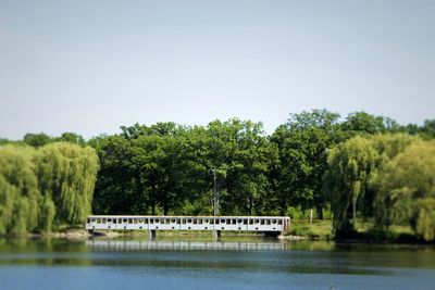 Scenic view of lake by trees against sky