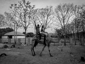 Man riding horse cart against sky