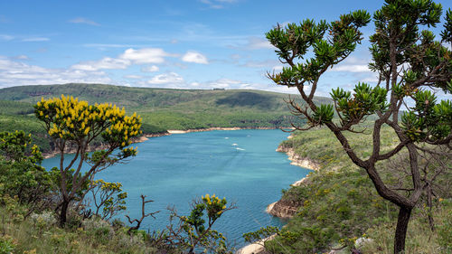 Scenic view of sea and trees against sky