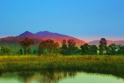 Scenic view of lake against clear blue sky