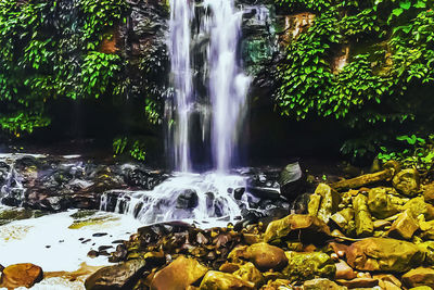 Scenic view of waterfall in forest