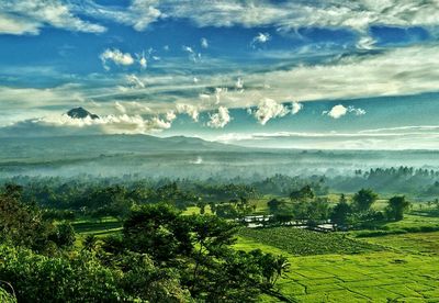 Scenic view of field against sky