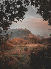 Scenic view of trees and buildings against sky during sunset