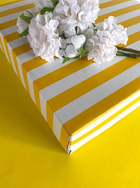 High angle view of white flowers on table