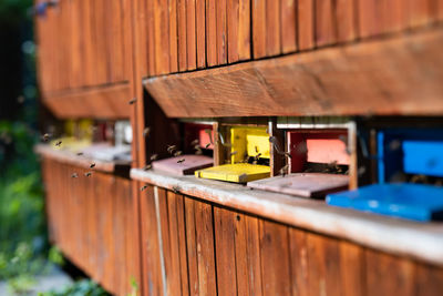 Close-up of small wooden house