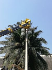 Low angle view of coconut palm trees against blue sky