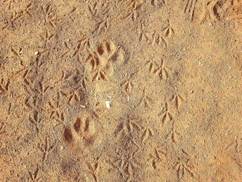 Full frame shot of sand