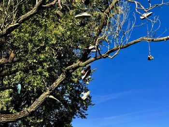 Low angle view of tree against blue sky