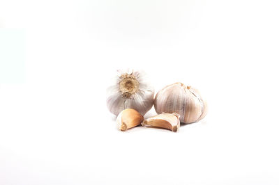 Close-up of garlic against white background