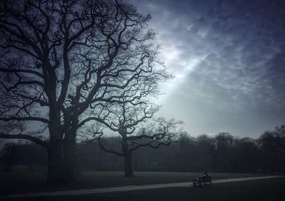 Bare trees on landscape against cloudy sky