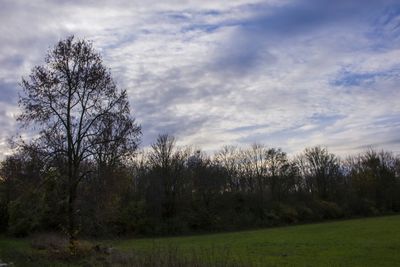 Scenic view of grassy field against cloudy sky