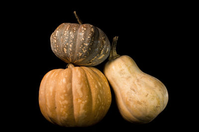 Close-up of pumpkins against black background