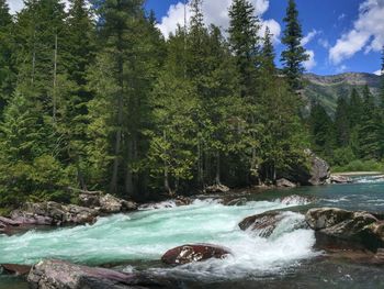 Scenic view of waterfall in forest