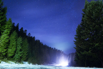 Scenic view of trees against clear sky at night