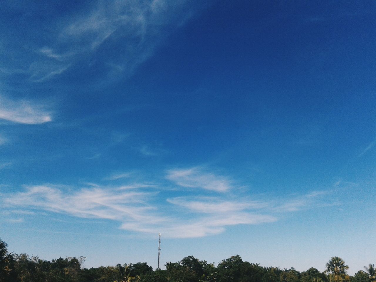 blue, low angle view, sky, tree, tranquility, beauty in nature, nature, tranquil scene, cloud - sky, scenics, cloud, day, outdoors, no people, growth, street light, power line, vapor trail, electricity pylon, idyllic