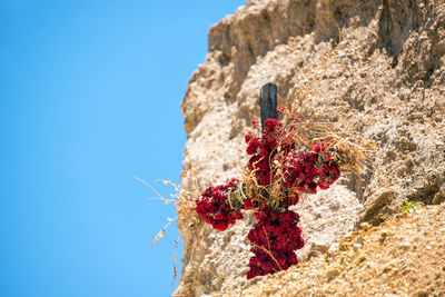 Low angle view of red flowers on cross by rock against clear blue sky